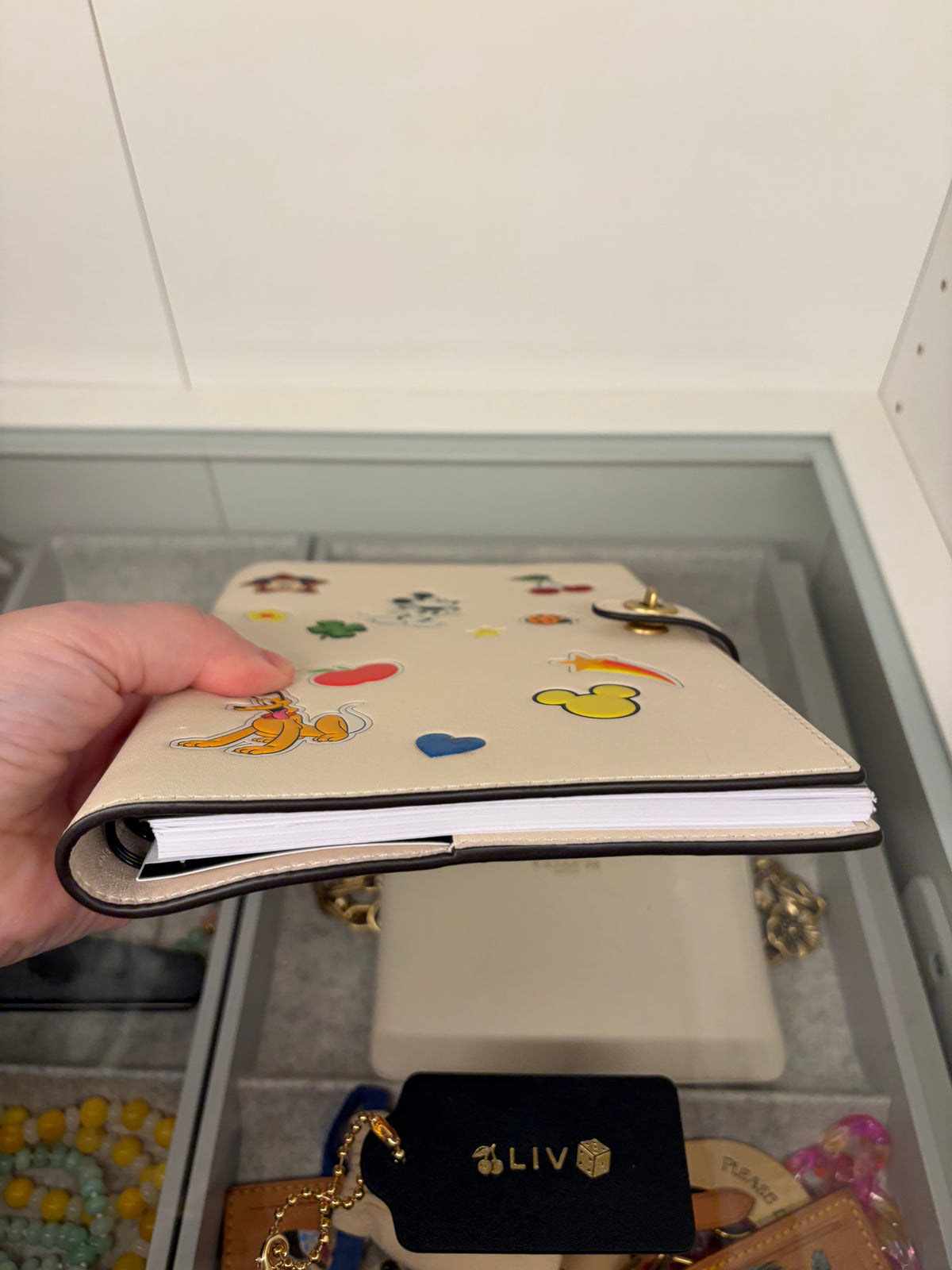 Coach x Disney Mickey & Friends Stickers Leather Notebook Gently Used