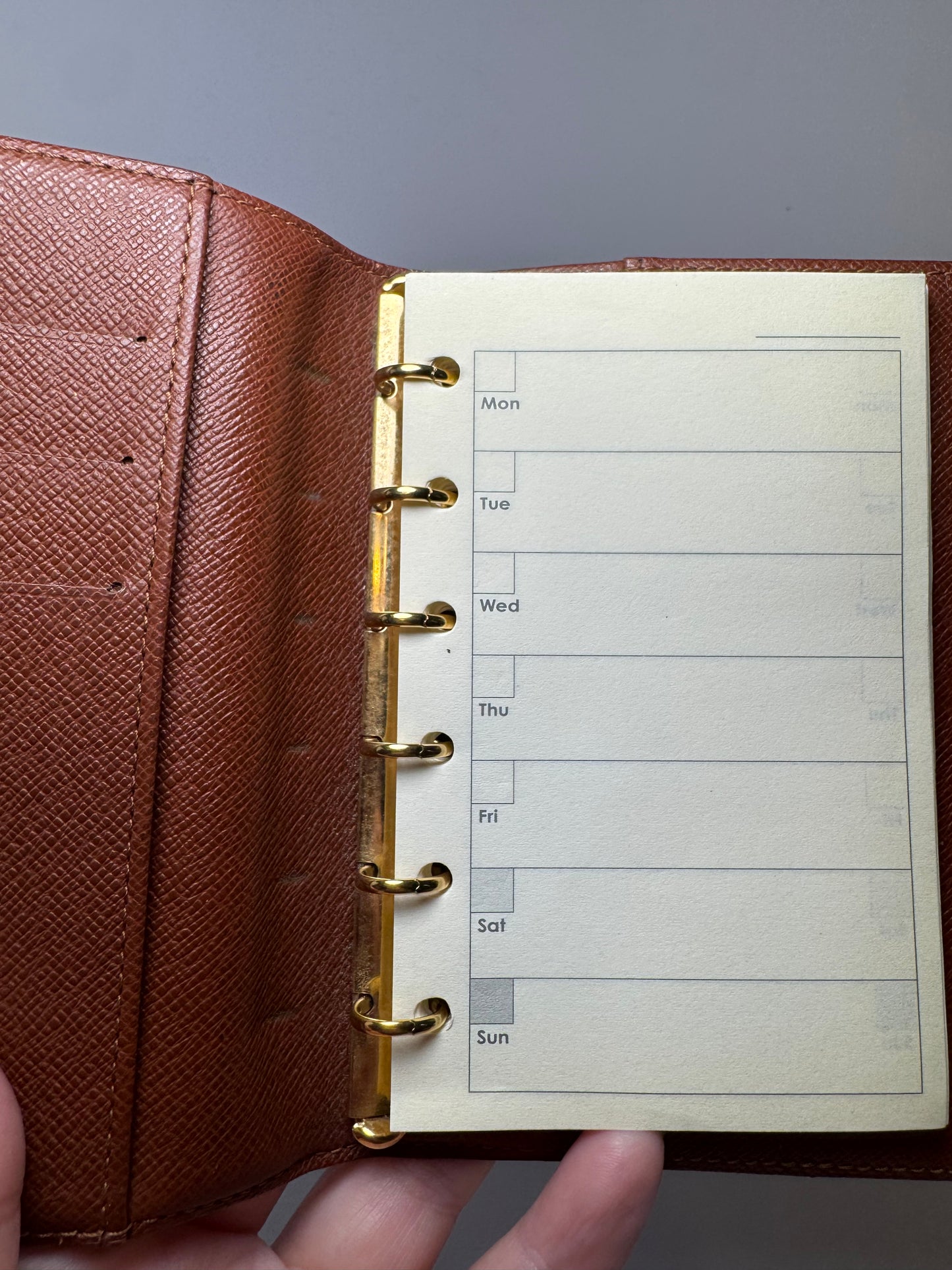 Louis Vuitton Agenda PM Monogram Planner / Passport Holder