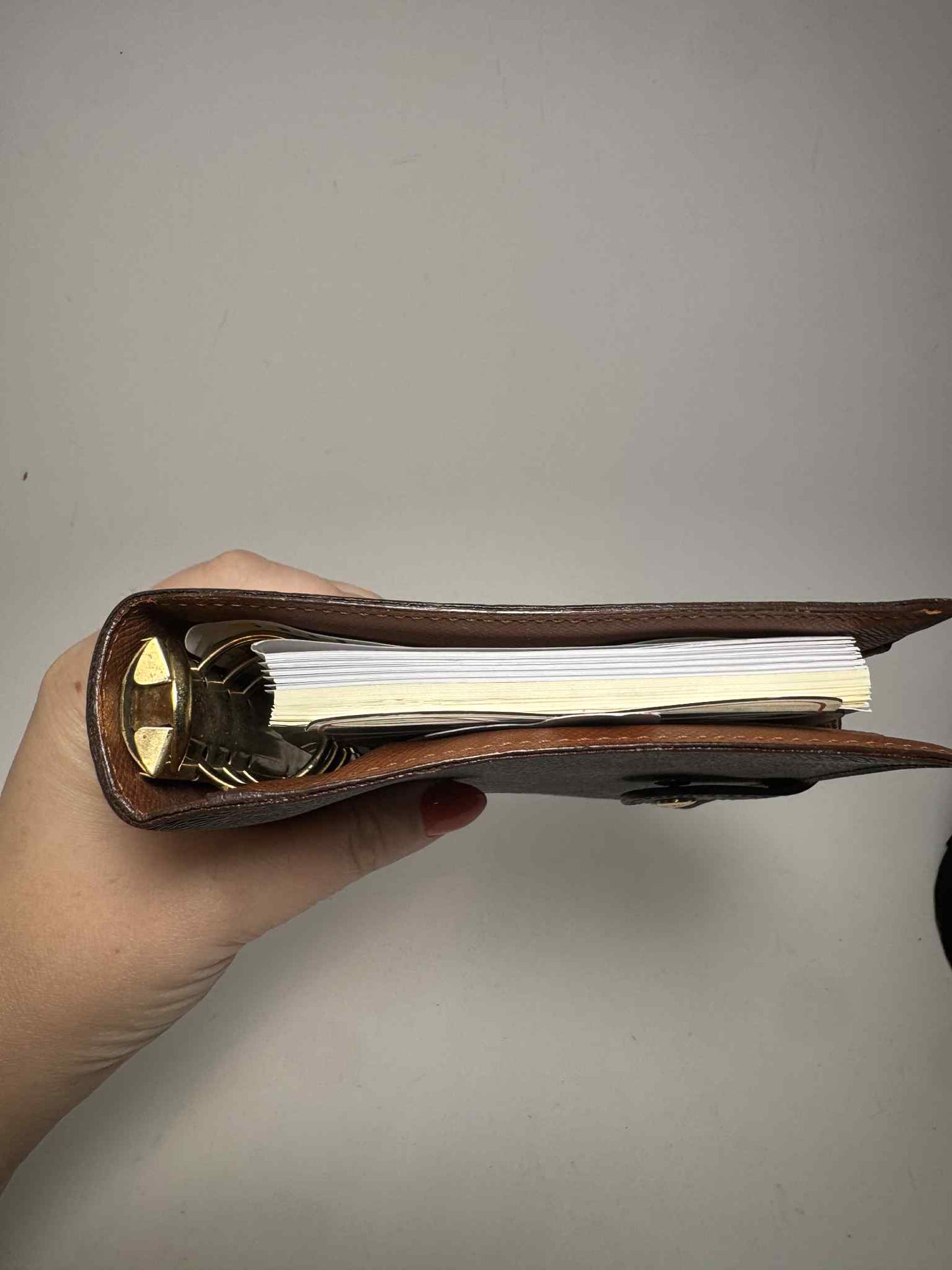 Louis Vuitton Agenda MM Monogram