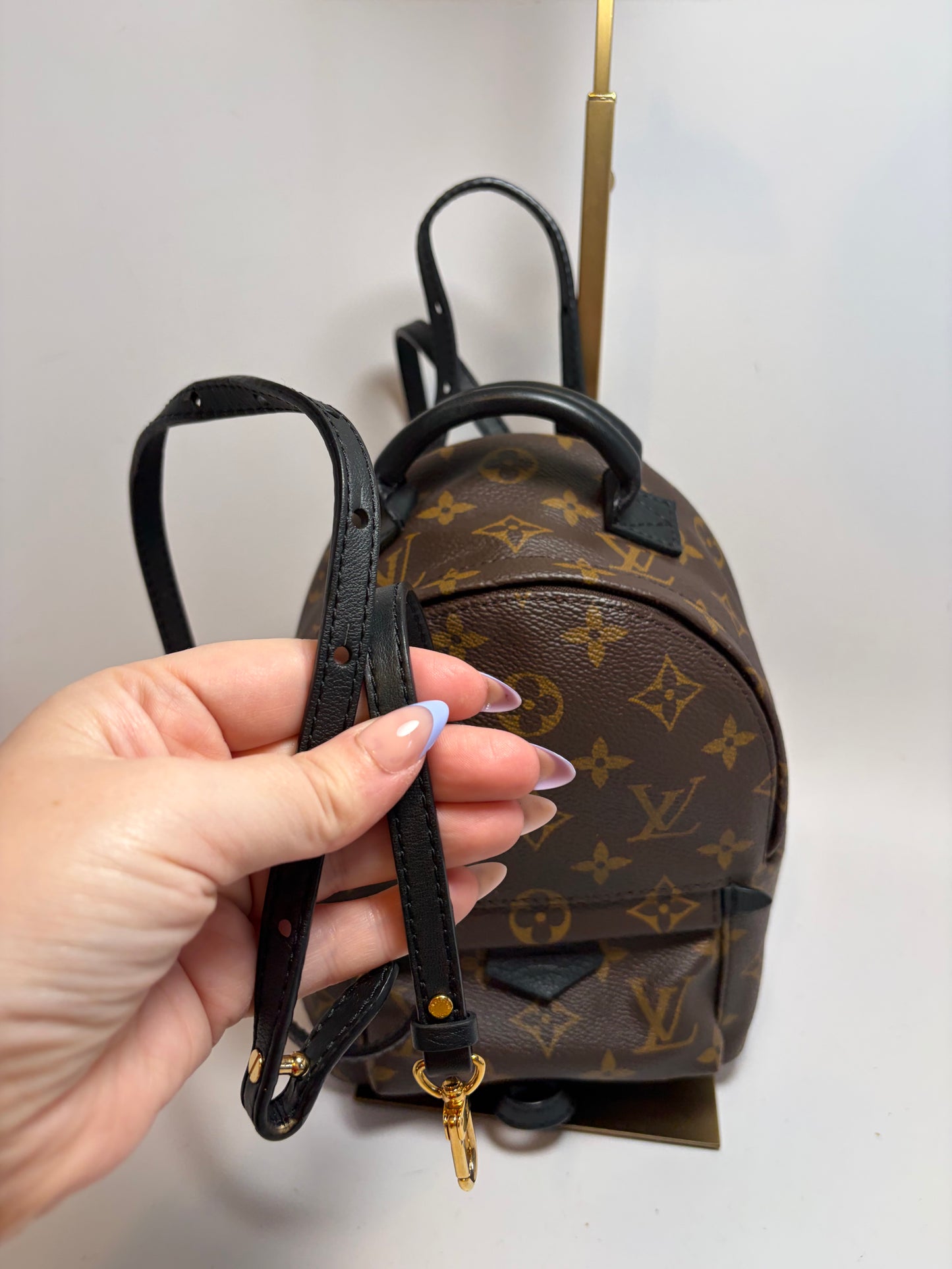 Louis Vuitton Palm Springs Mini Monogram Backpack & Crossbody w/COA