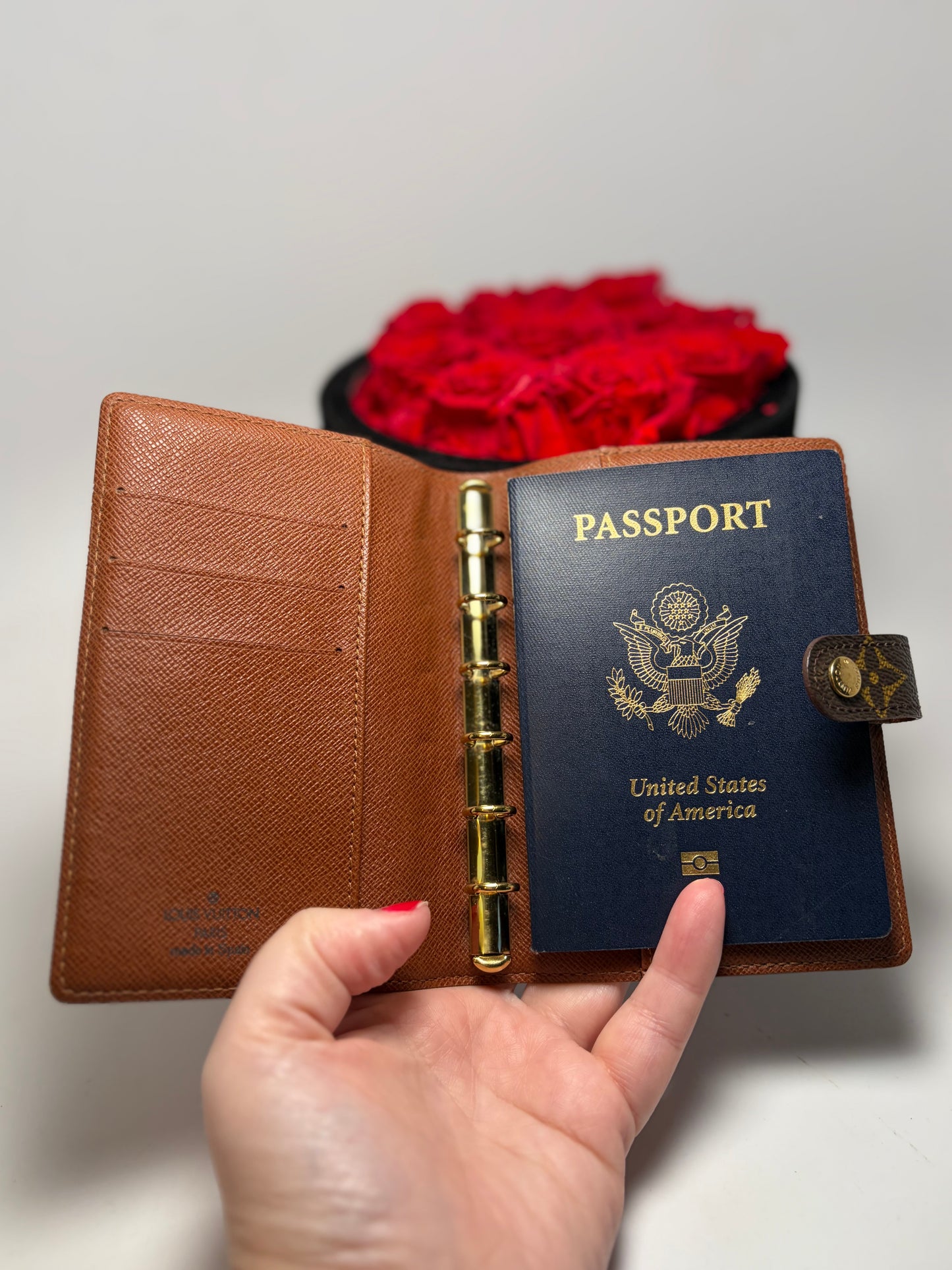 Louis Vuitton Agenda PM Monogram/Passport Holder