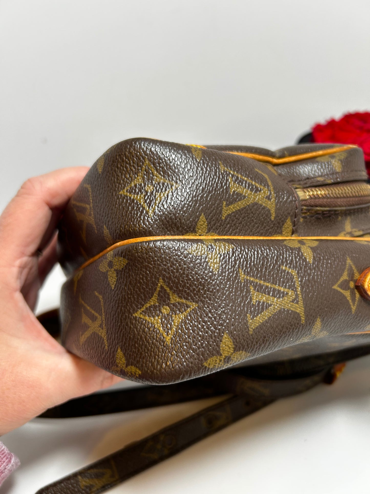 Louis Vuitton Amazon Monogram Crossbody