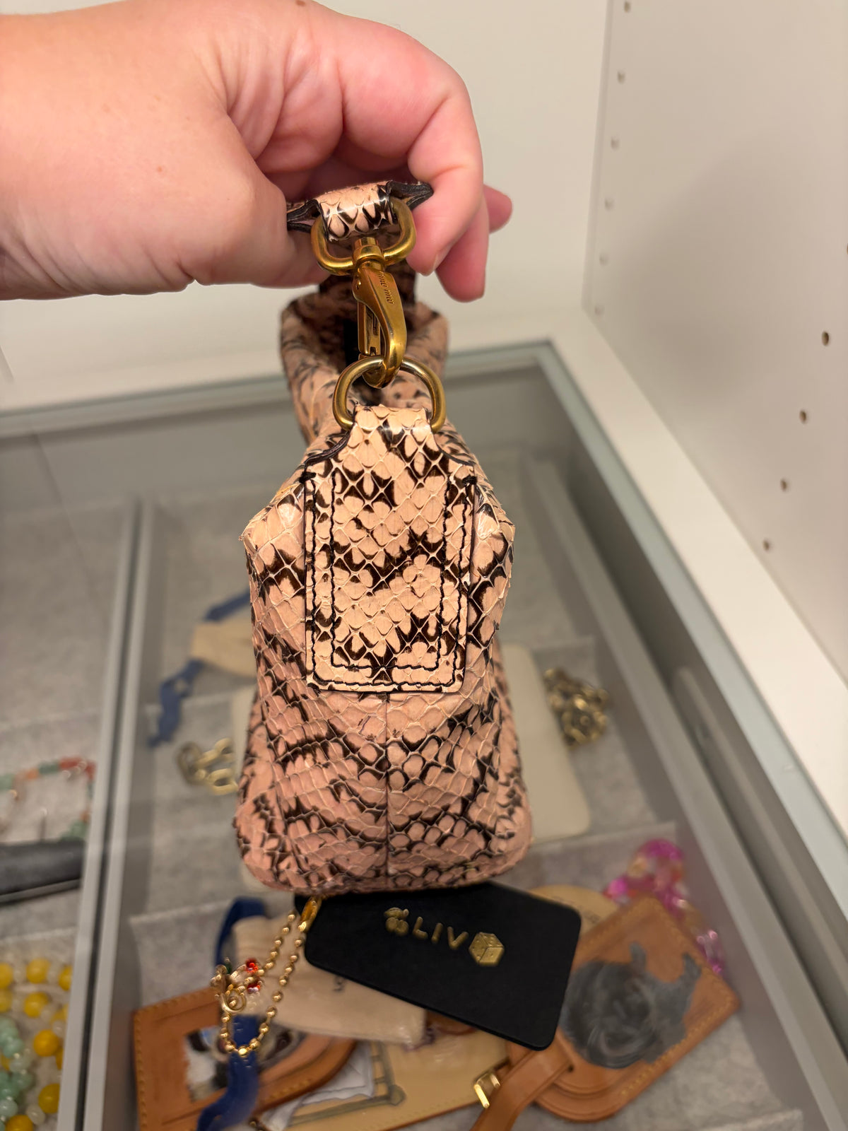Miu Miu Python Mini Bag