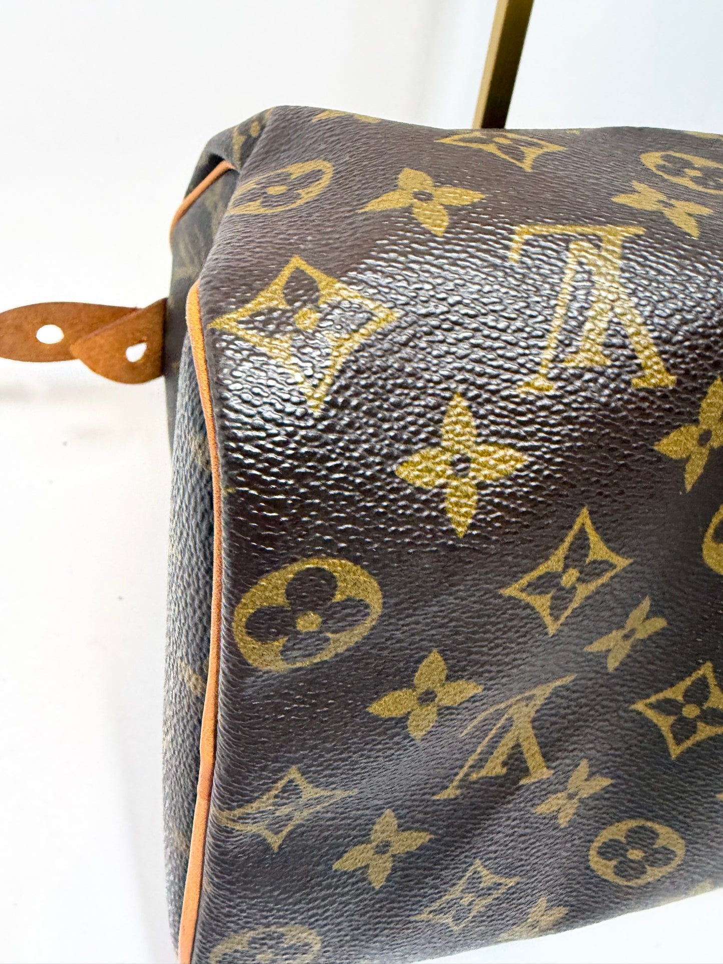 Louis Vuitton Speedy 25 Monogram