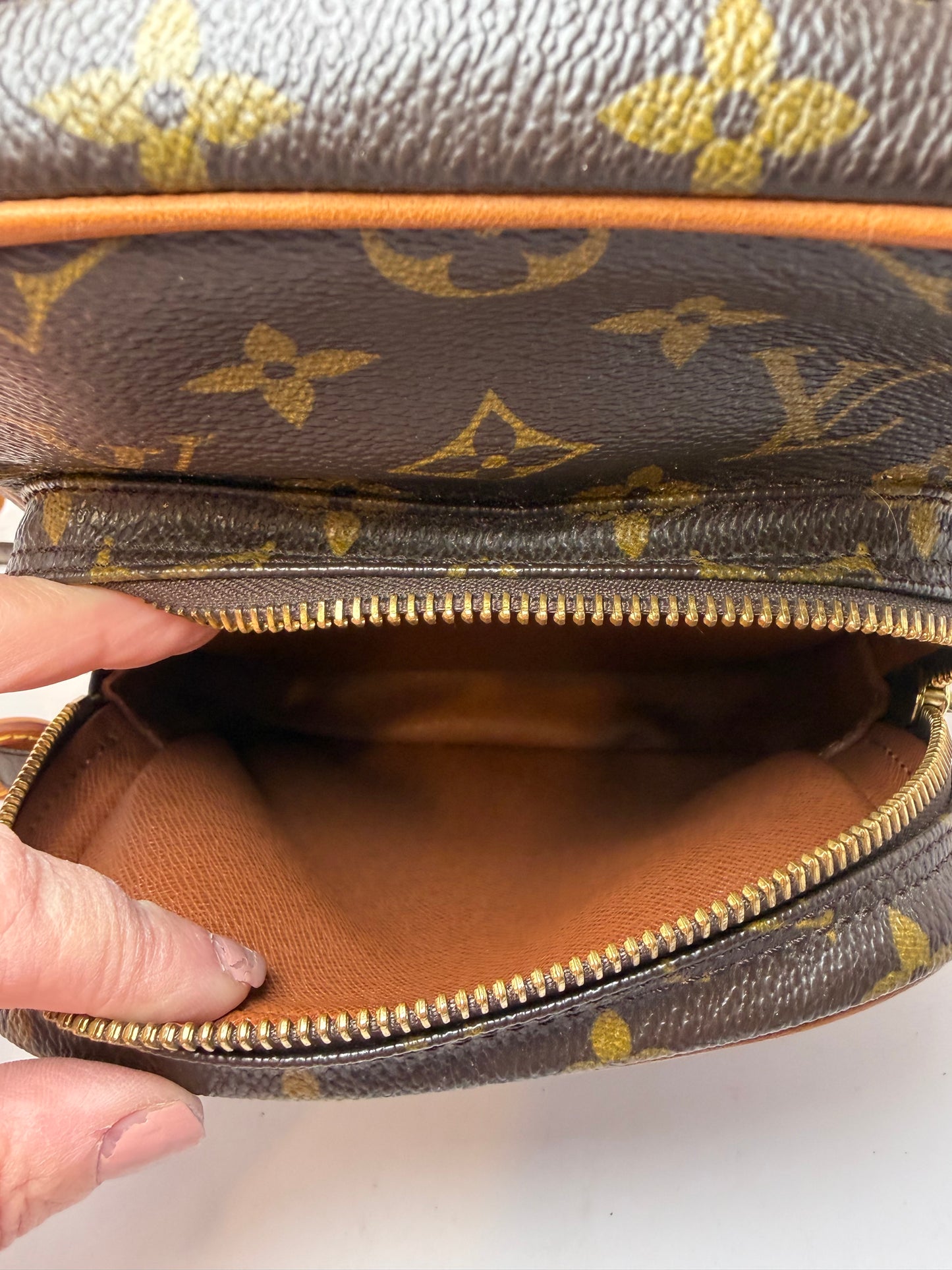 Louis Vuitton Amazon Crossbody Monogram