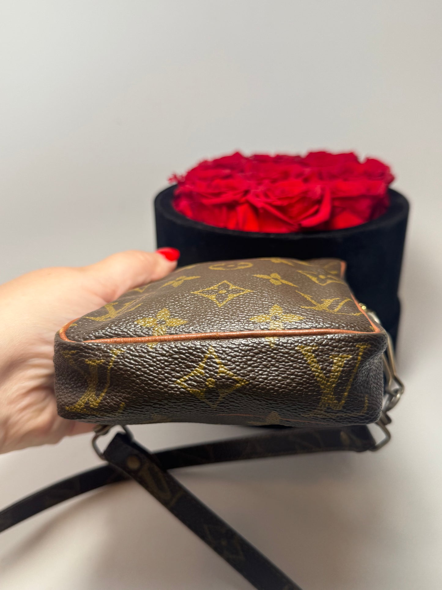 Louis Vuitton Mini Danube shoulder bag/belt bag