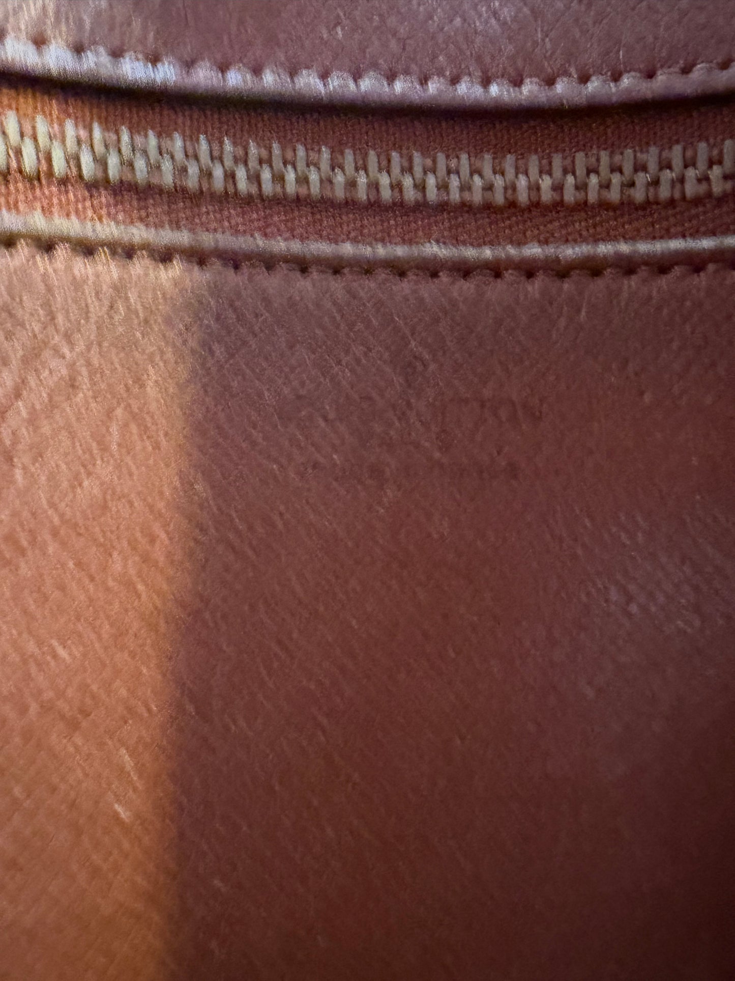 Louis Vuitton Marley Draggone Clutch/wristlet