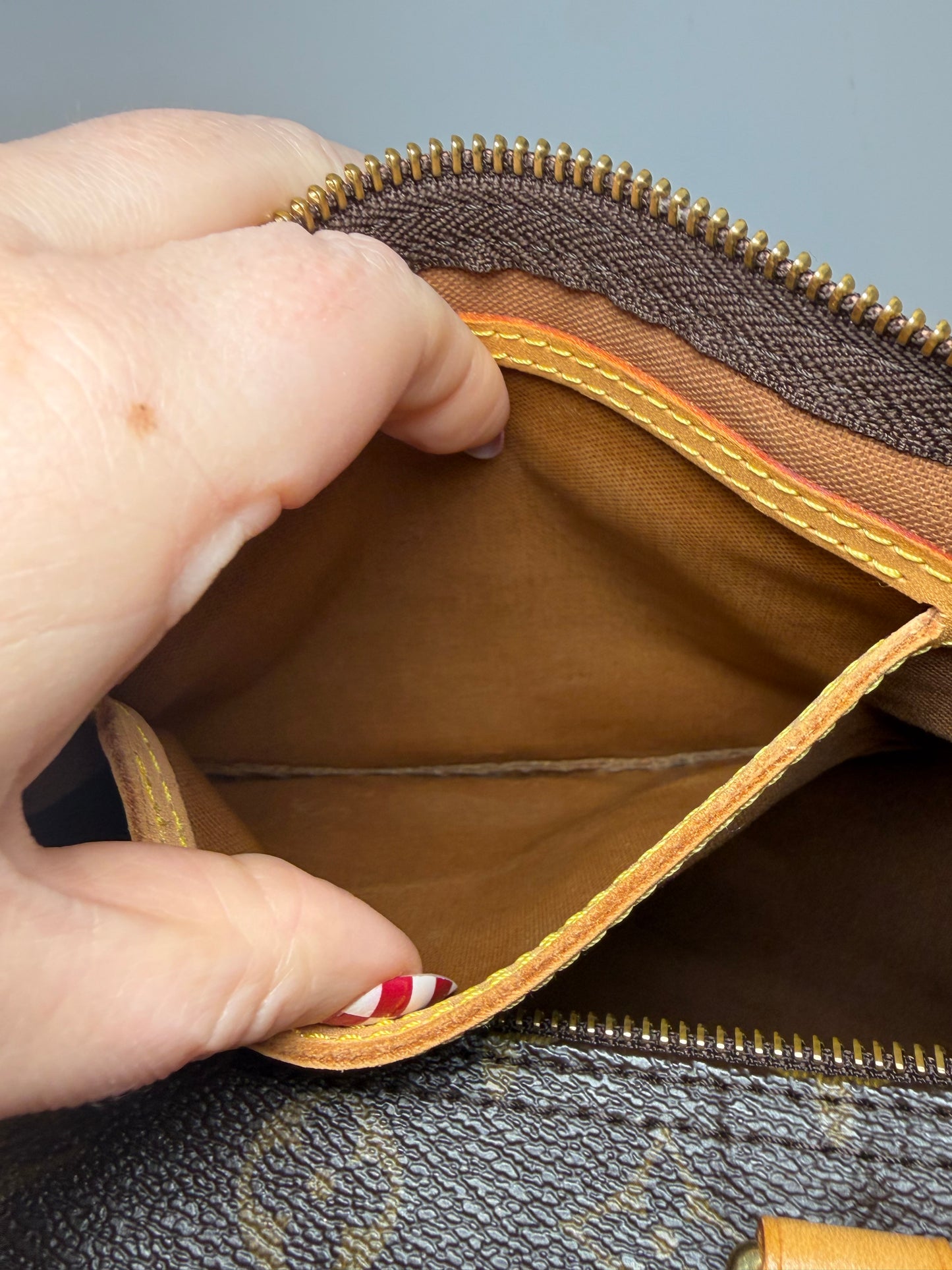 Louis Vuitton Speedy 30 Monogram