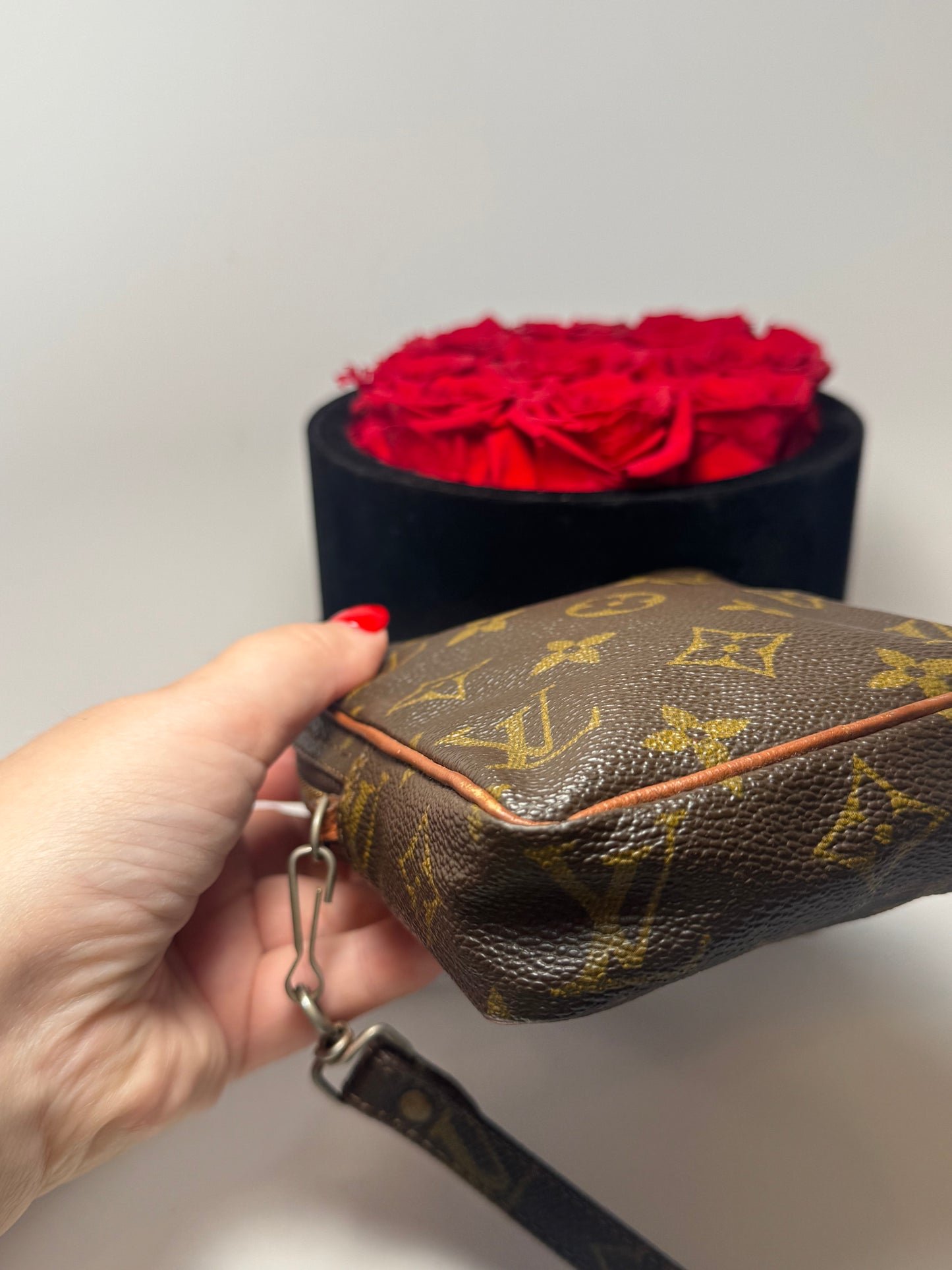 Louis Vuitton Mini Danube shoulder bag/belt bag