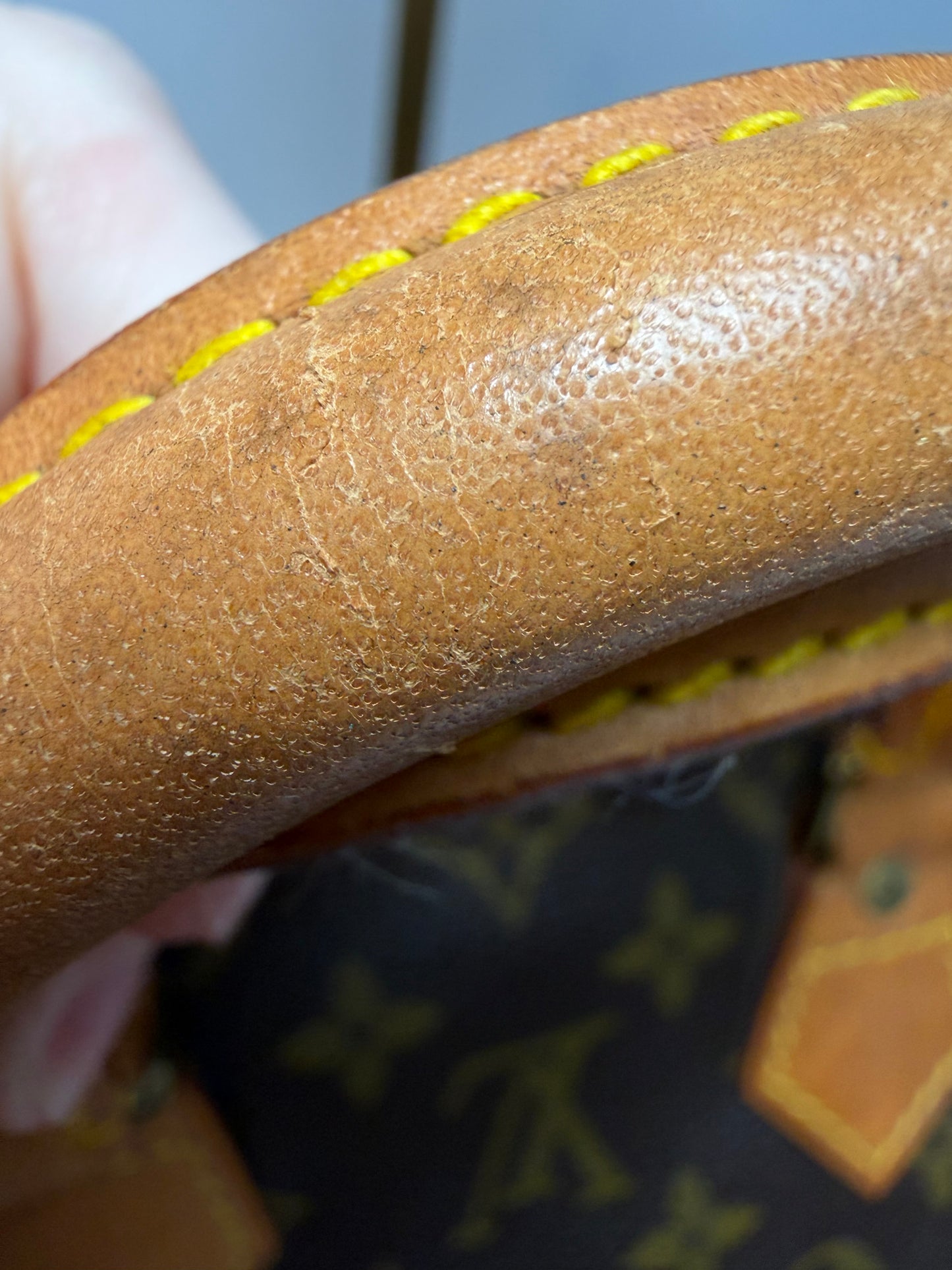 Louis Vuitton Speedy 25 Monogram