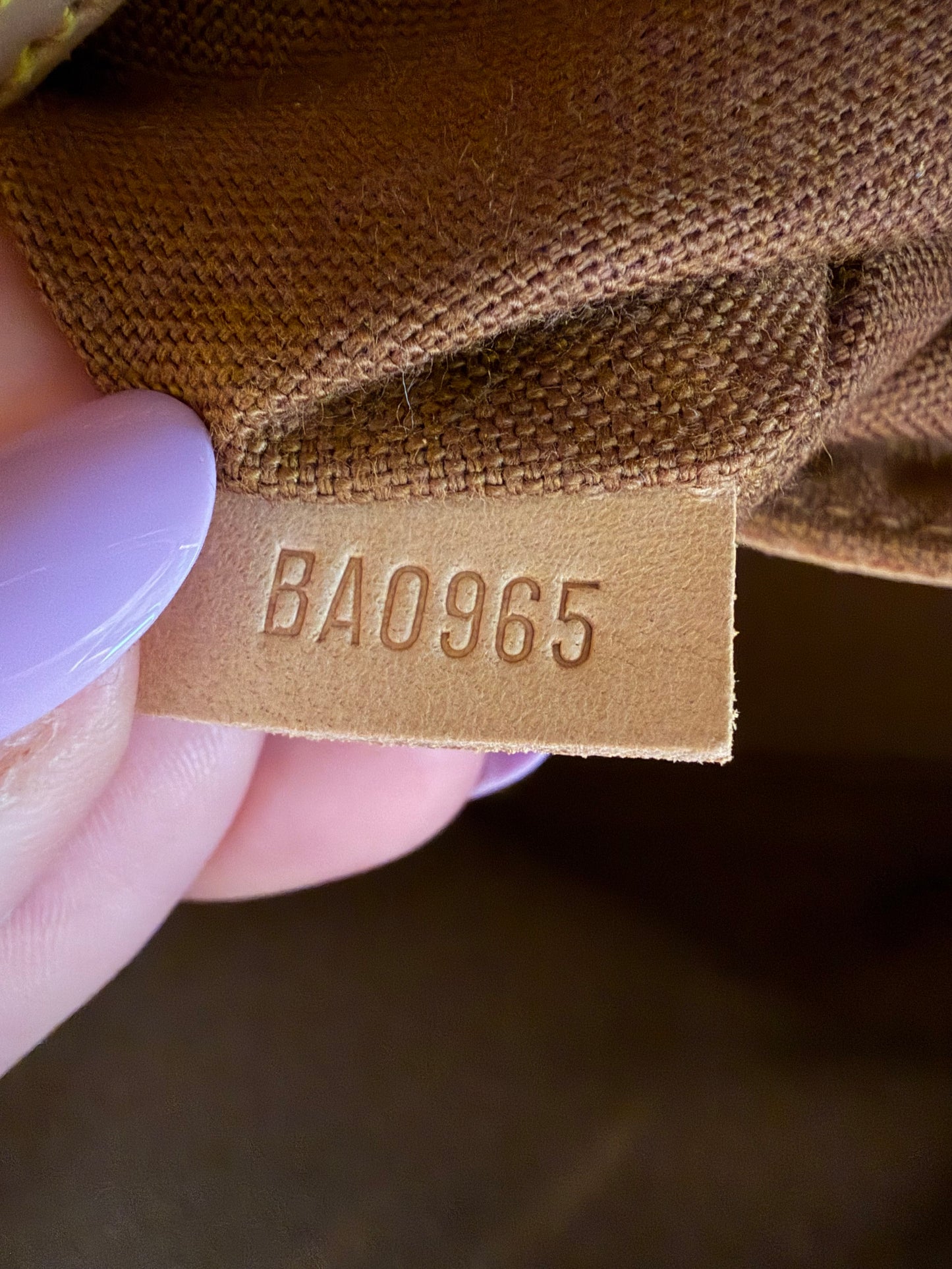 Louis Vuitton Alma PM Monogram