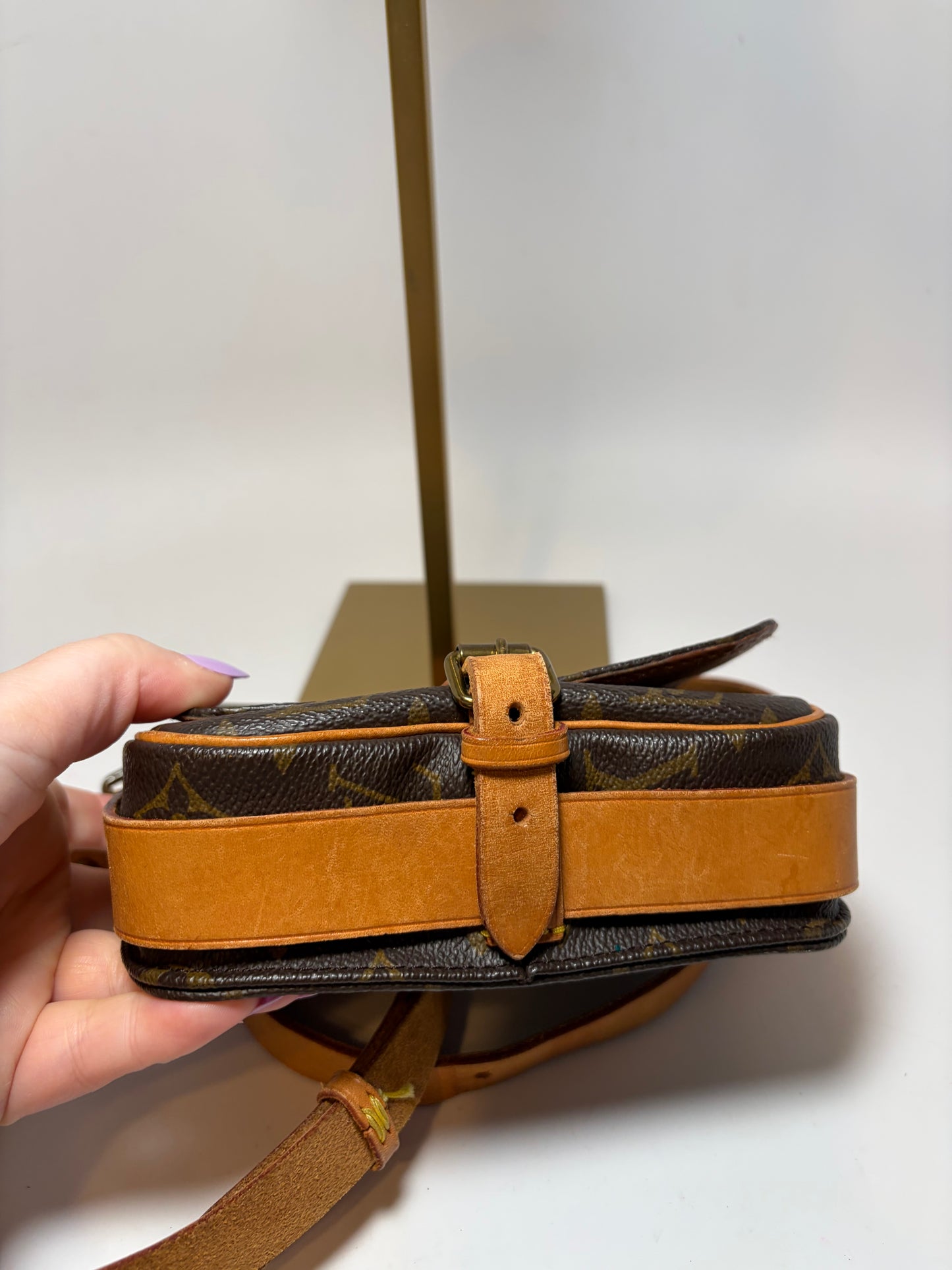Louis Vuitton Cartouchière PM Monogram Crossbody