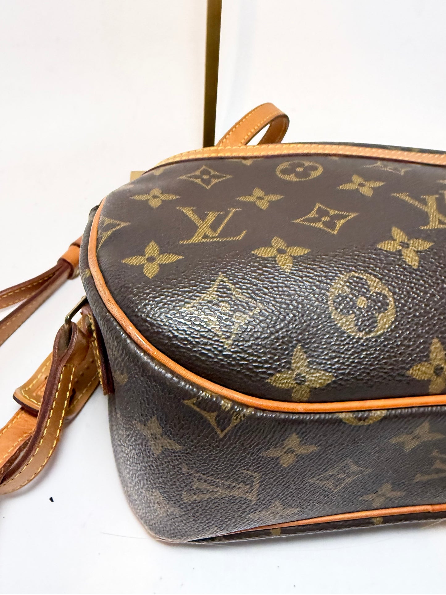 Louis Vuitton Blois Monogram Crossbody