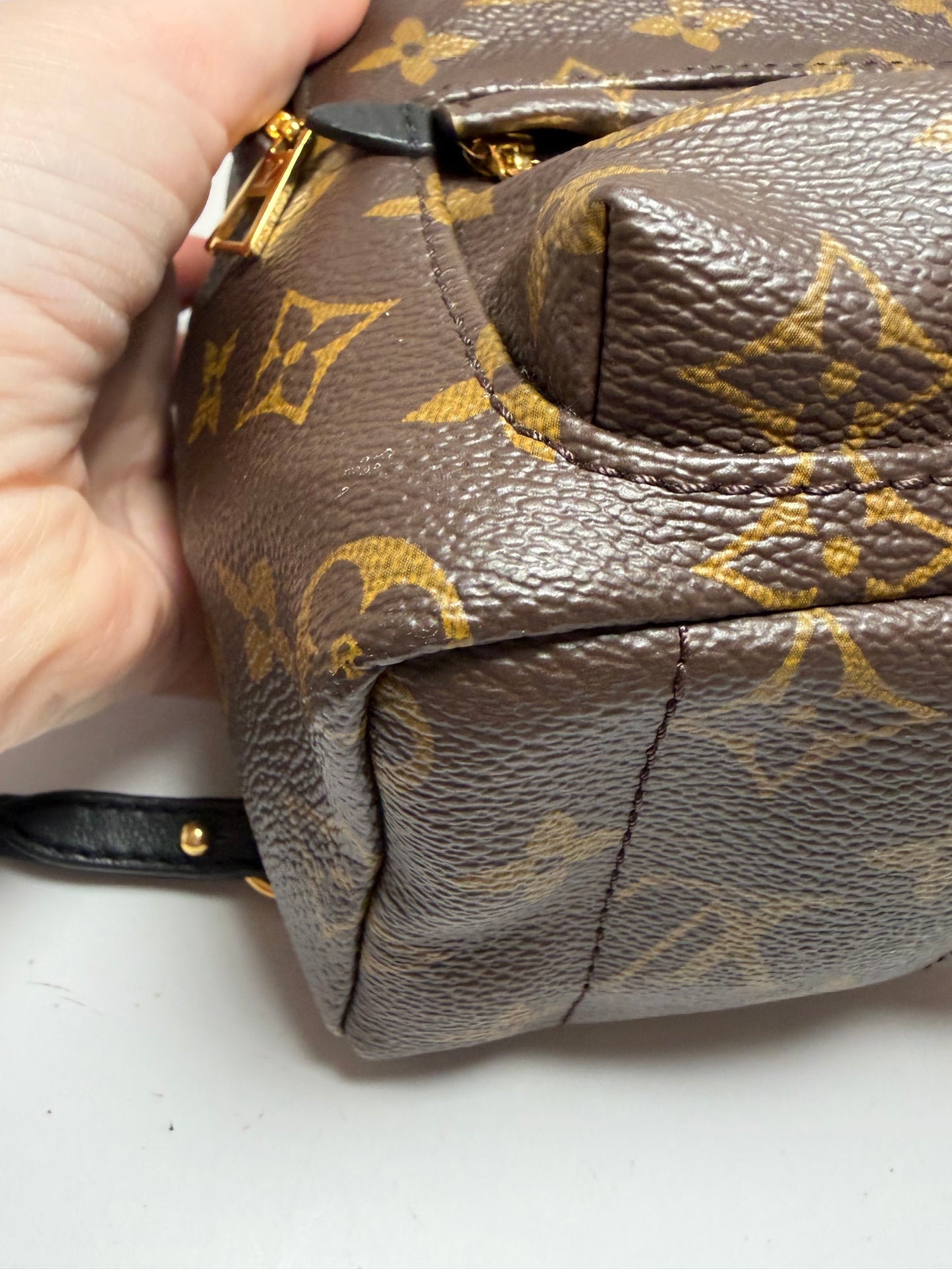 Louis Vuitton Palm Springs Mini Monogram Backpack & Crossbody w/COA
