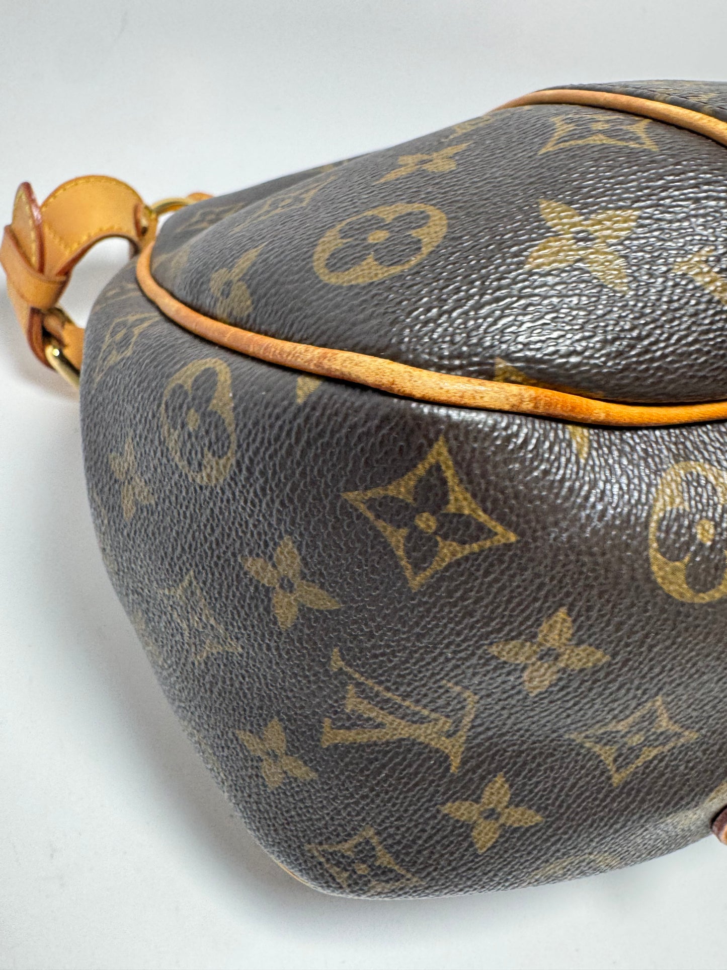 Louis Vuitton Galleria PM Monogram Shoulder Bag