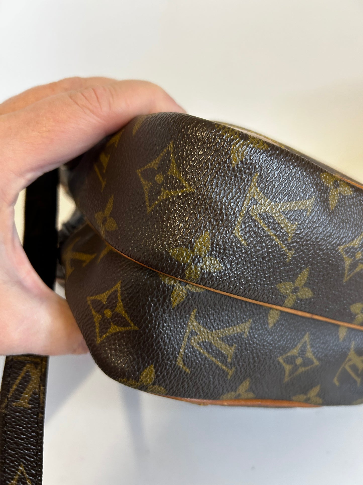 Louis Vuitton Amazon Monogram Crossbody