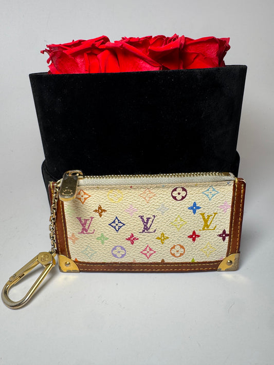 Louis Vuitton Multicolor Key Cles/Key Pouch