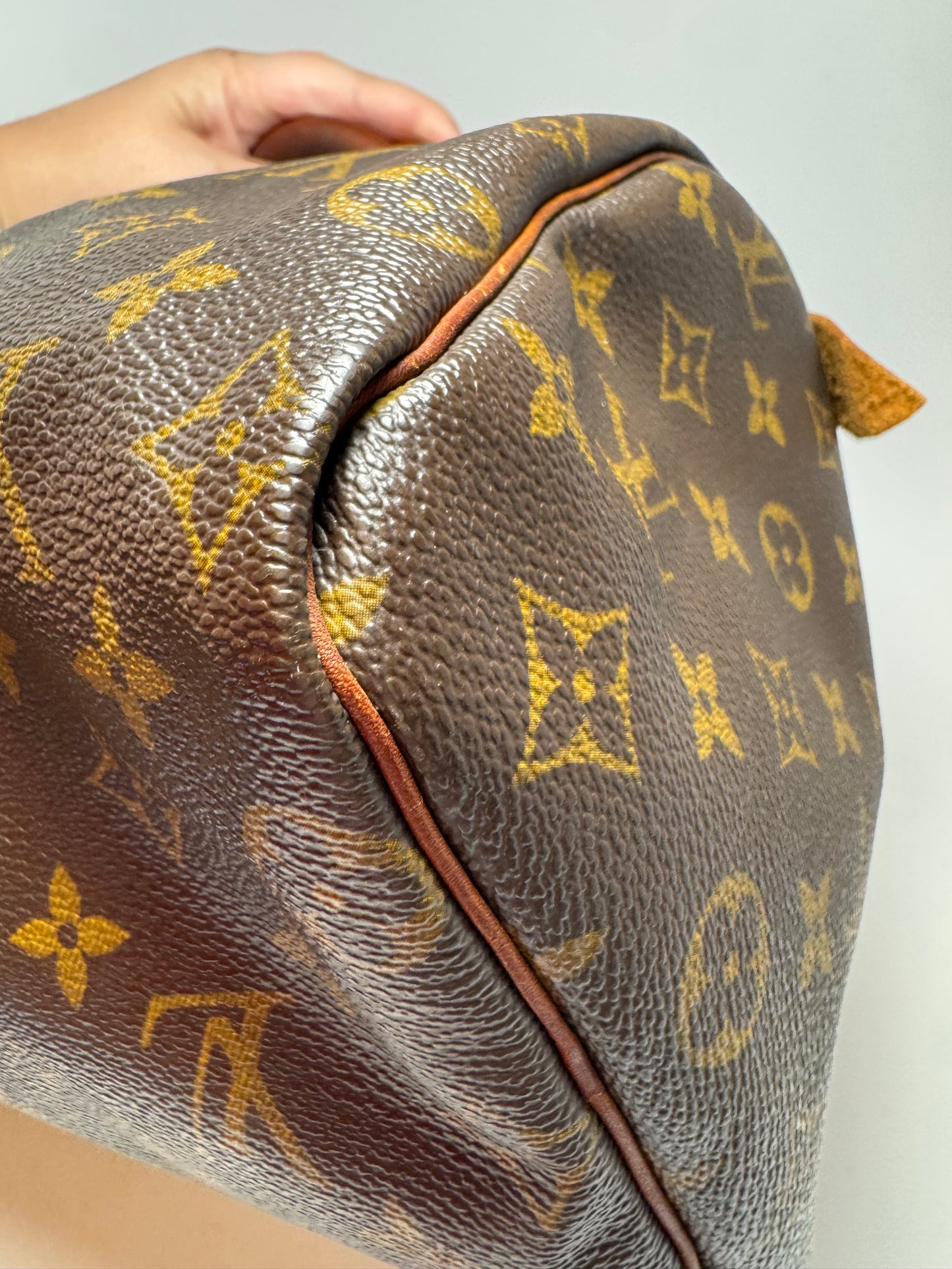Louis Vuitton Speedy 25 Monogram Satchel