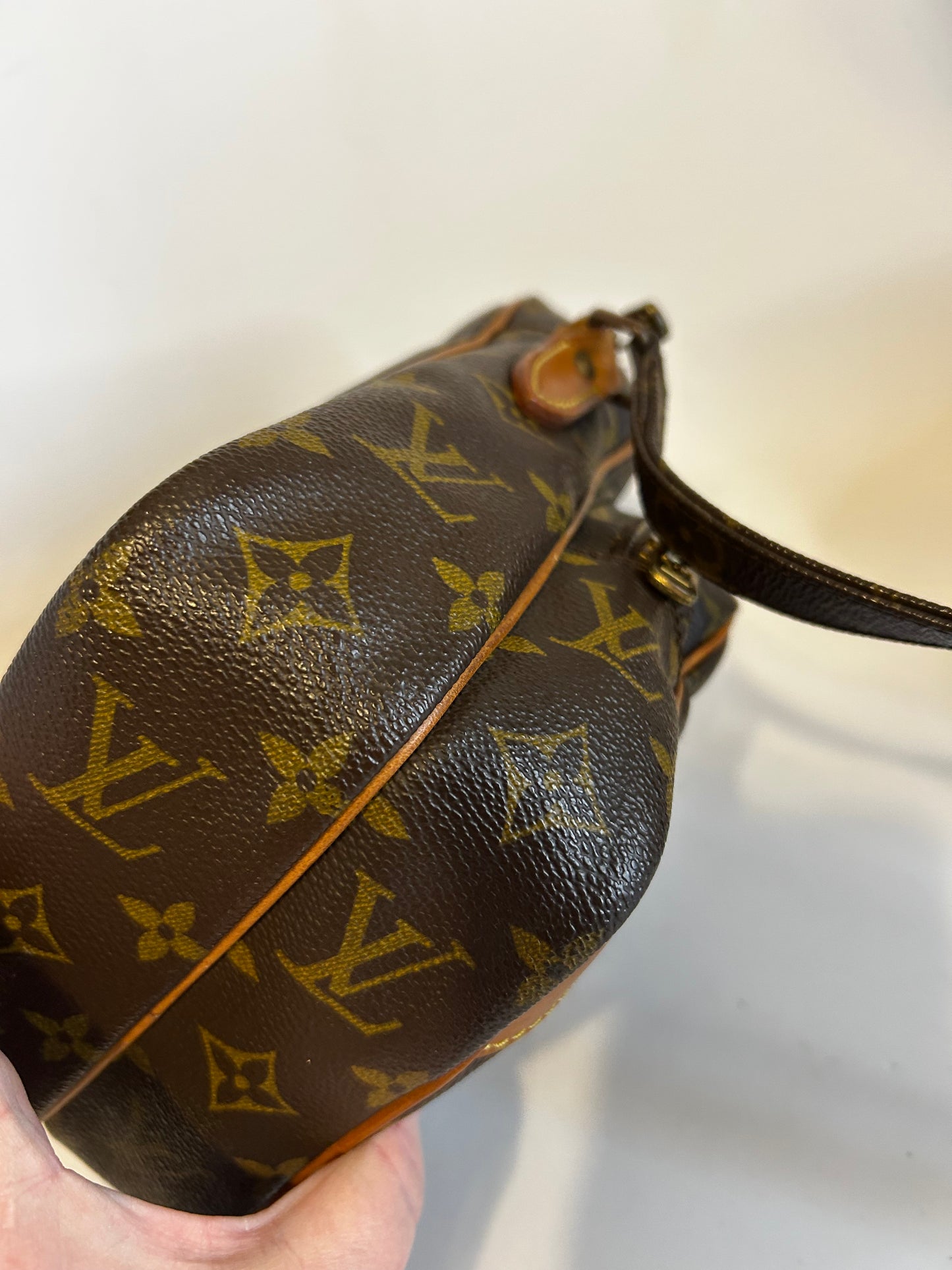 Louis Vuitton Amazon Monogram Crossbody