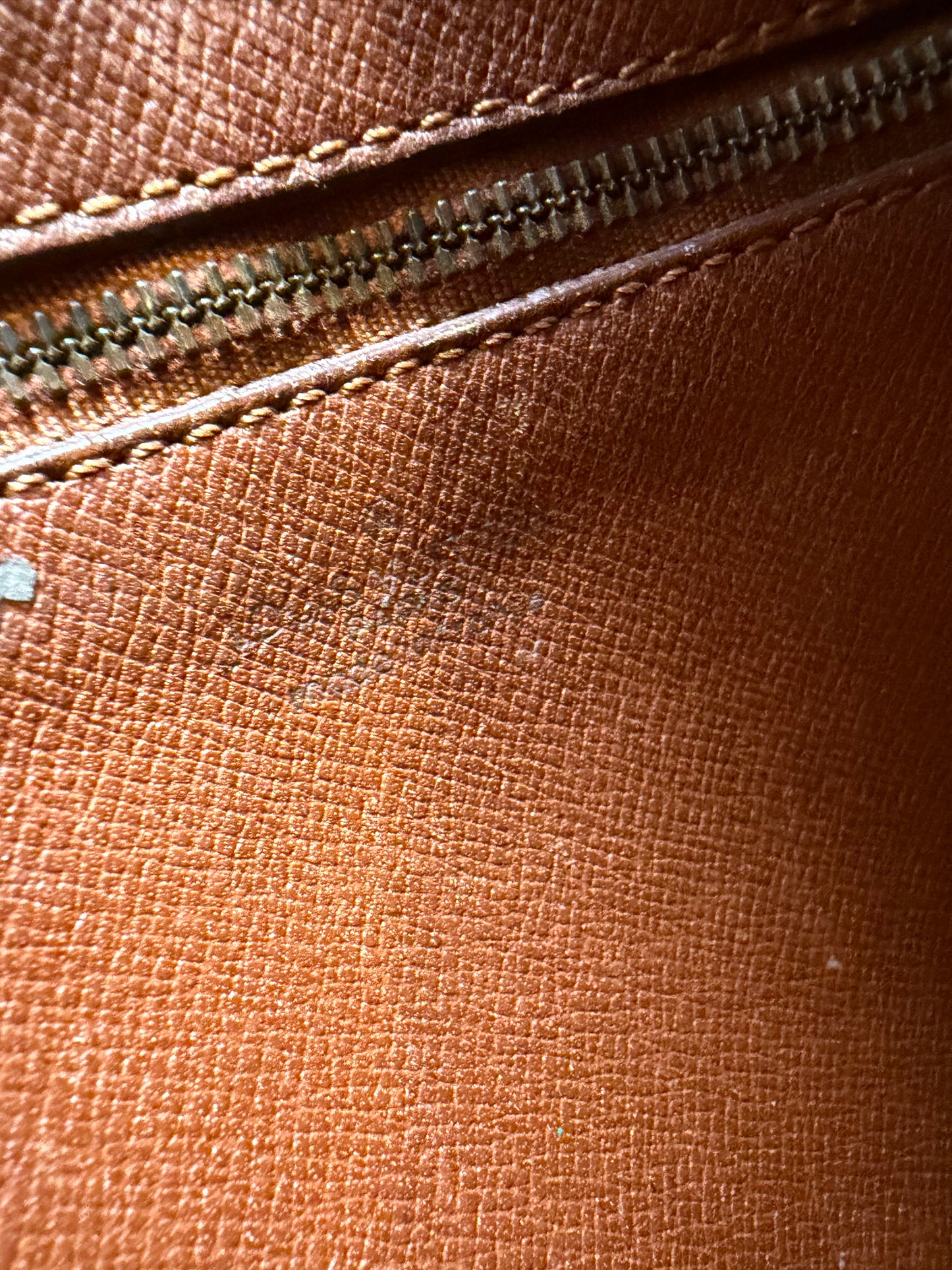 Louis Vuitton Marly Draggone GM Clutch