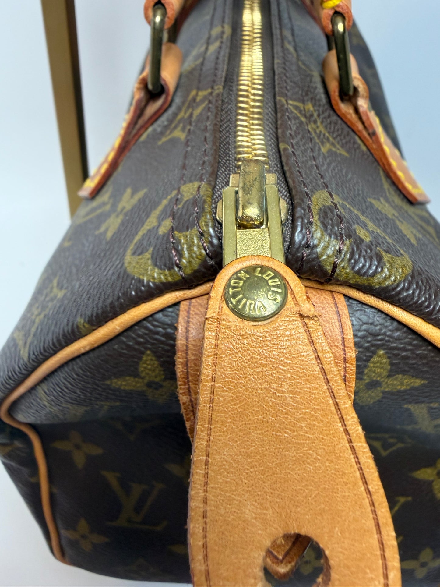 Louis Vuitton Speedy 25 Monogram